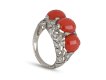 Coral:  Gem of the Summer Seas